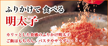 �ӂ肩�������q